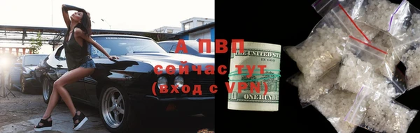 прущие грибы Армянск