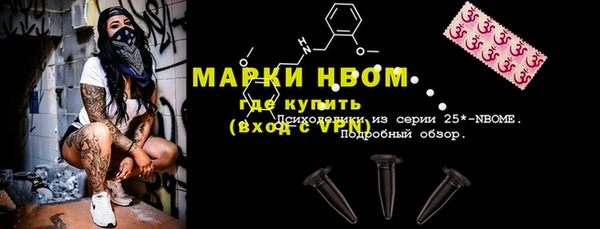 прущие грибы Армянск