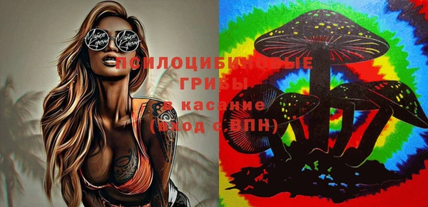 прущие грибы Армянск