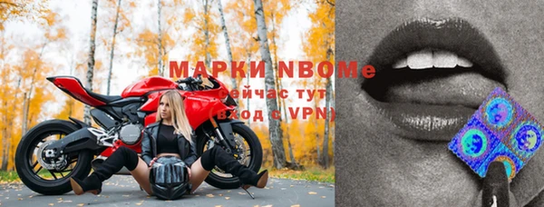 индика Саяногорск