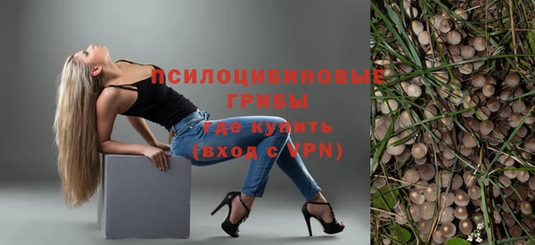 прущие грибы Армянск