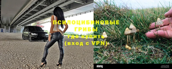 прущие грибы Армянск
